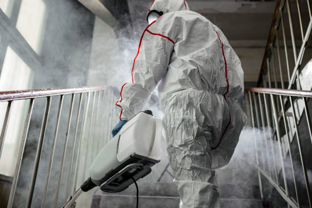 Professional Mold Removal in Fritz Creek, AK